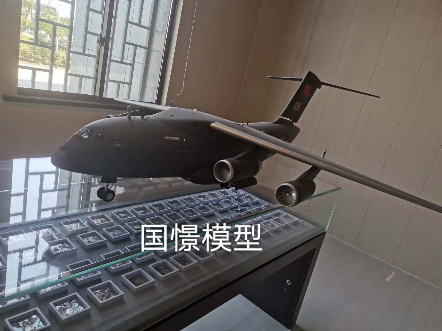 阆中市飞机模型